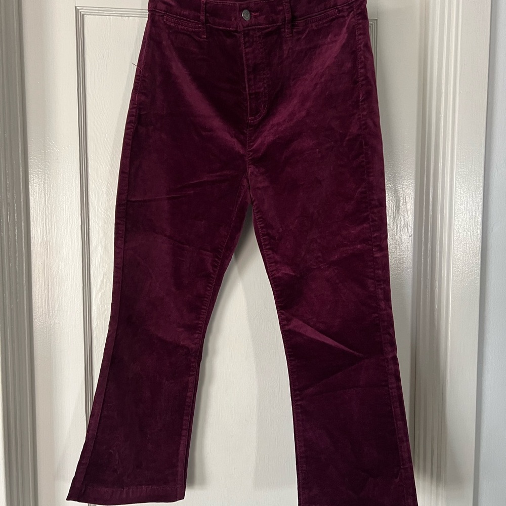 LOFT Deep Burgandy High Rise Pants